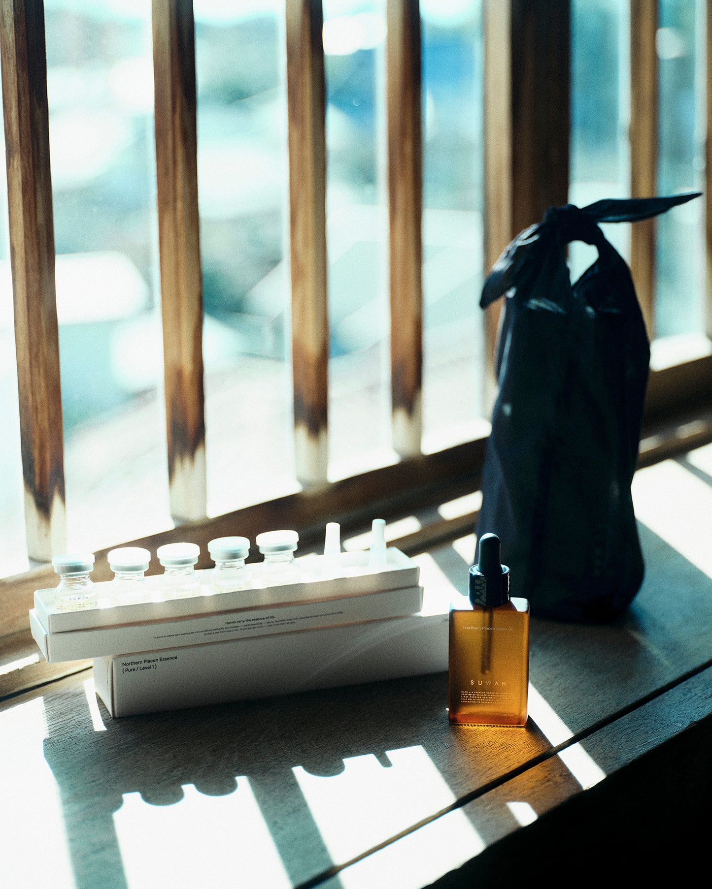 Northern Placen – 源 GEN