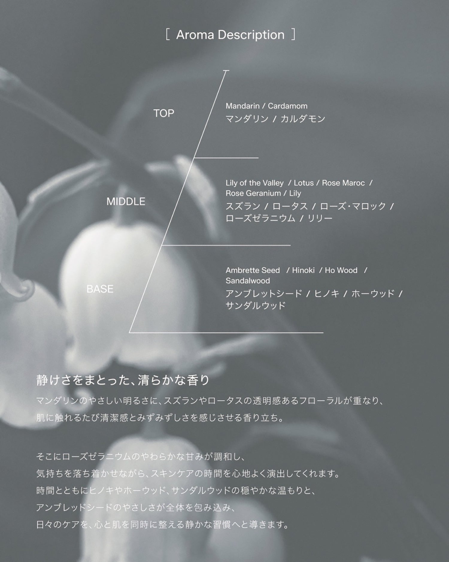 Northern Placen Cleansing Gel