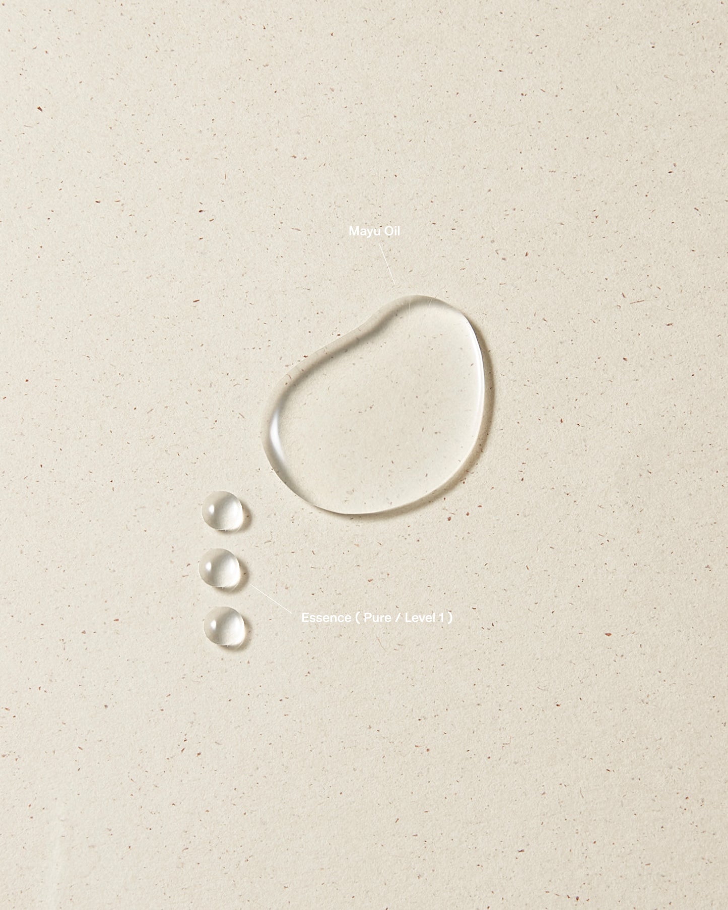 Northern Placen – 源 GEN