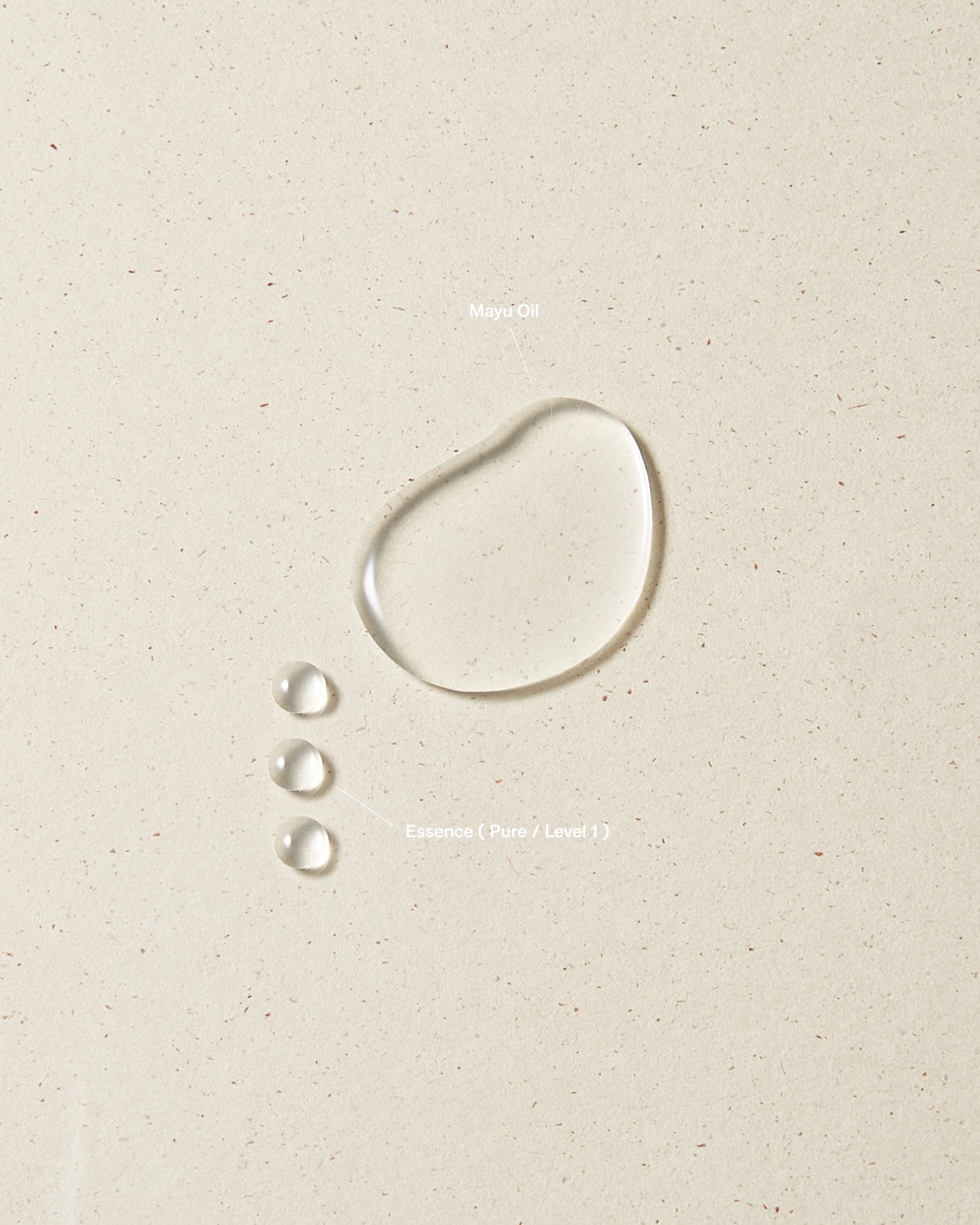 Northern Placen – 源 GEN